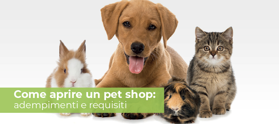 Come aprire un pet shop: adempimenti e requisiti