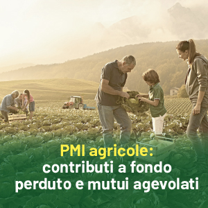 Contributi a fondo perduto e mutui agevolati per nuove PMI agricole