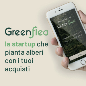 Greenflea: la startup che pianta alberi con i tuoi acquisti