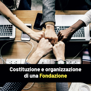 La Fondazione: cenni organizzativi e costituzione