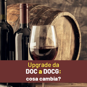 Passaggio del vino Doc a DOCG: tutte le novità in 3 domande